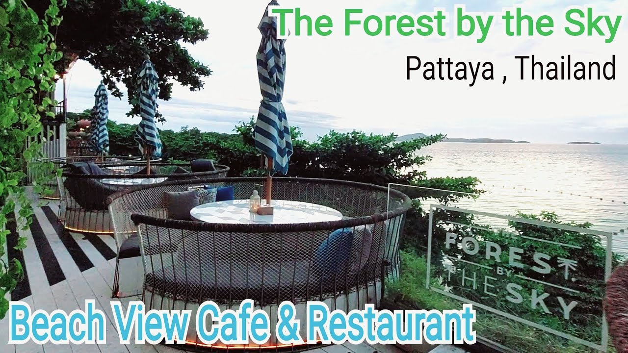 The Forest By The Sky Pattaya / The forest by the sky | The Forest By The Sky Restaurant Pattaya