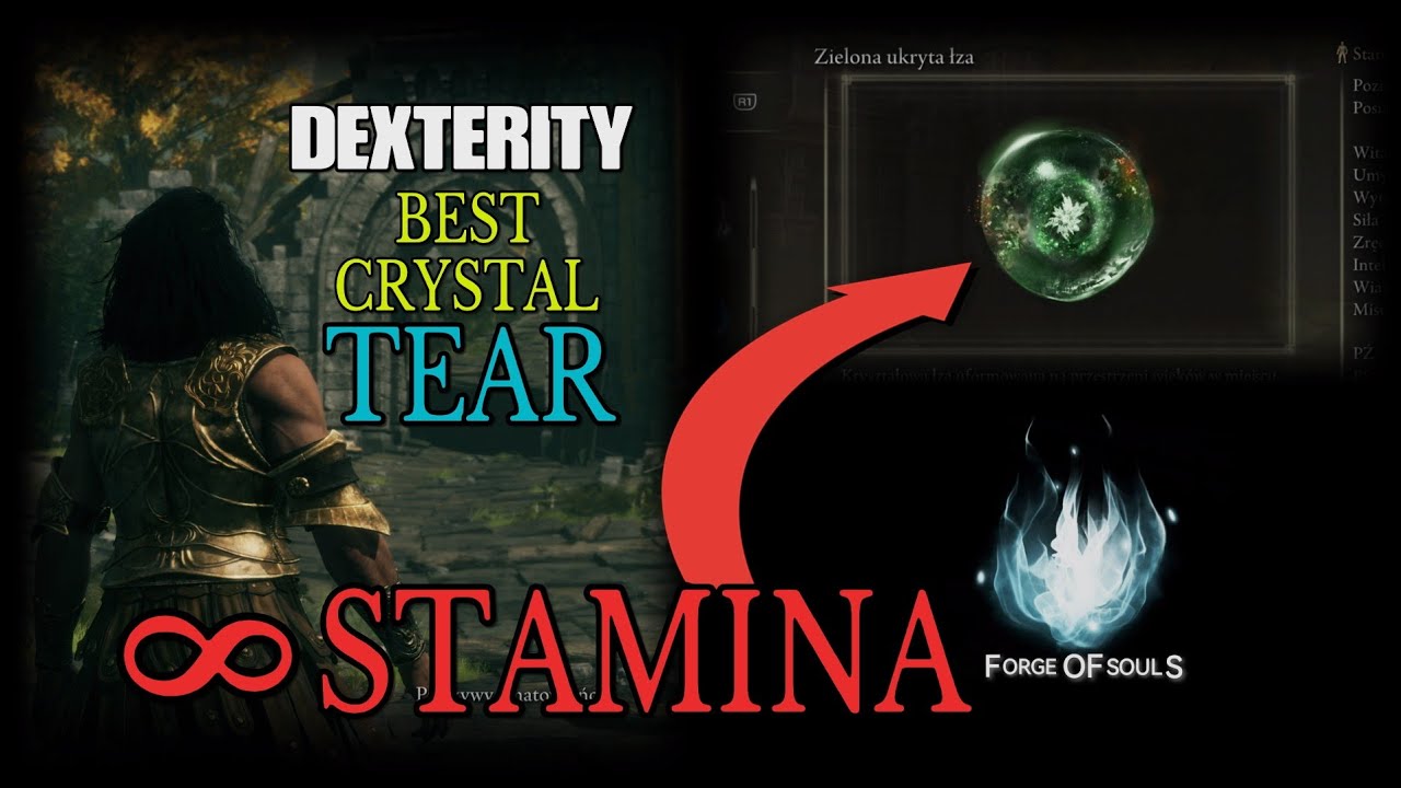 ER Shadow of the Erdtree | Best crystal tear! Unlimited stamina ! Power of dexterity build 💪🏻