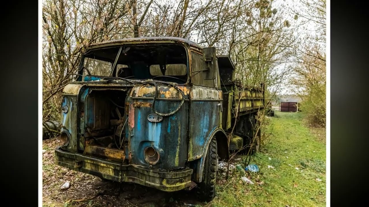 Cmentarzysko maszyn #wrosty #truck
