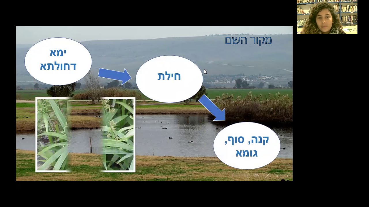 ייבוש החולה- מדרשת חברון