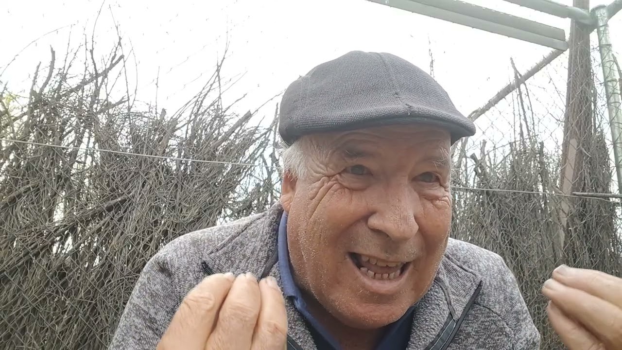 Me desplazo a Sevilla 