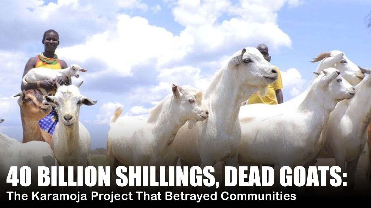 40 BILLION SHILLINGS, DEAD GOATS: The Karamoja Project That Betrayed Communities #viral #news