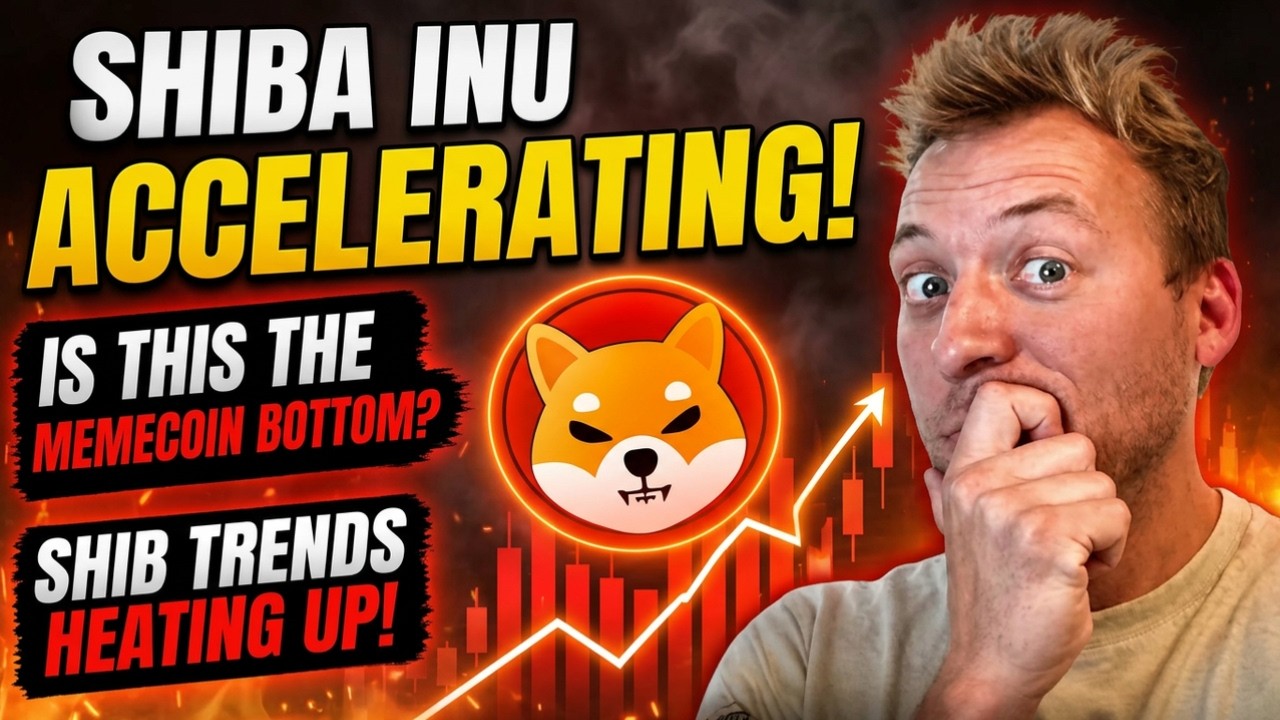 SHIBA INU &mdash; показатели растут! Дно рынка мем-коинов близко?!