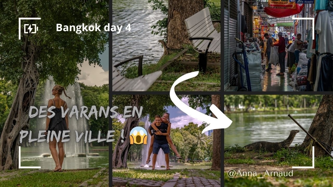 Des varans géants en liberté au cœur de Bangkok ! 🐊😱
