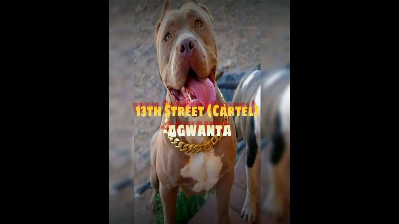13streetcartel_ - _AGWANTA (PROD. FAT CAT BEATS)