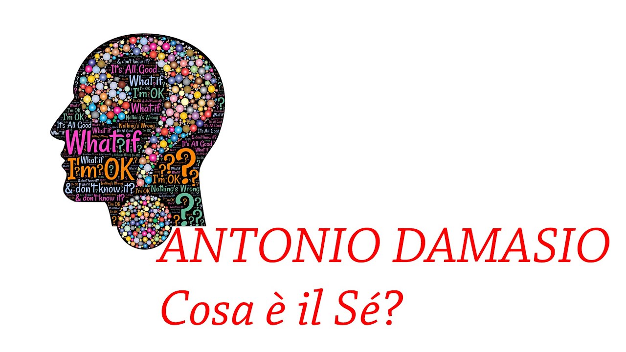 ANTONIO DAMASIO cosa è il Sé?