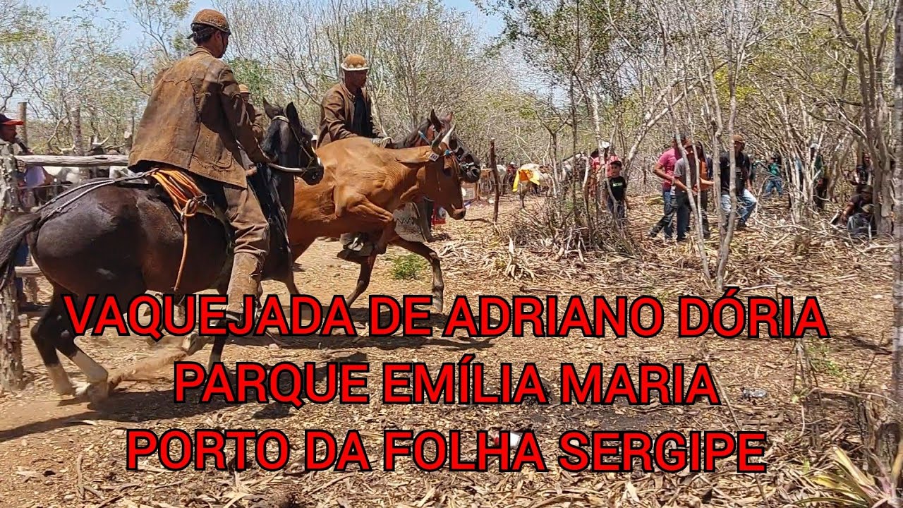 Grande vaquejada de pega de boi no mato Parque Emília Maria  Porto da Folha Sergipe. 