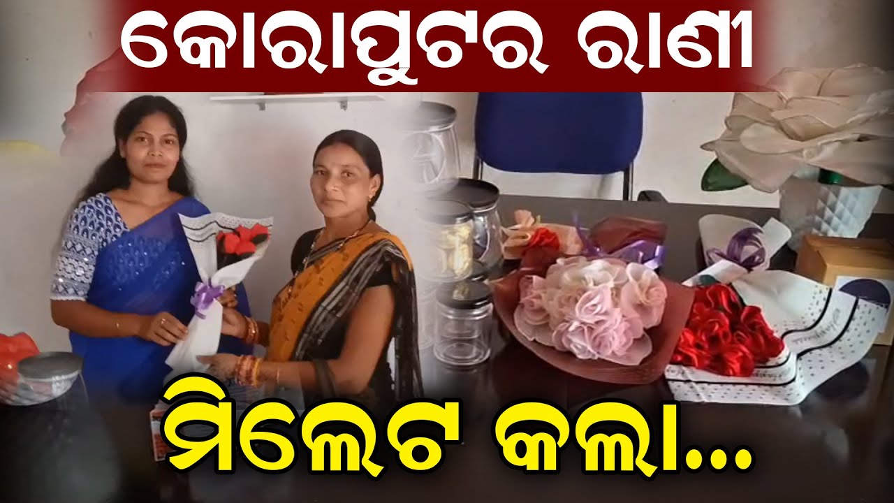 କୋରାପୁଟର ରାଣୀ ମିଲେଟ କଲା ମାଲାମାଲ | Koraput | Odisha News | Manoranjan Mishra | News Room |