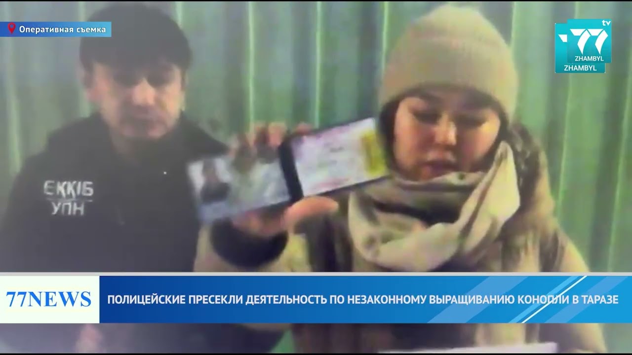 ПОЛИЦЕЙСКИЕ ПРЕСЕКЛИ ДЕЯТЕЛЬНОСТЬ ПО НЕЗАКОННОМУ ВЫРАЩИВАНИЮ КОНОПЛИ В ТАРАЗЕ