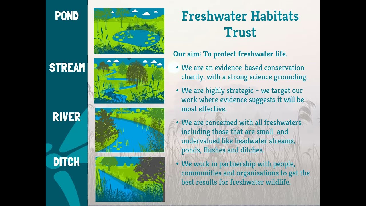 Citizen Science: Testing the Water 2021 eDNA Survey Results