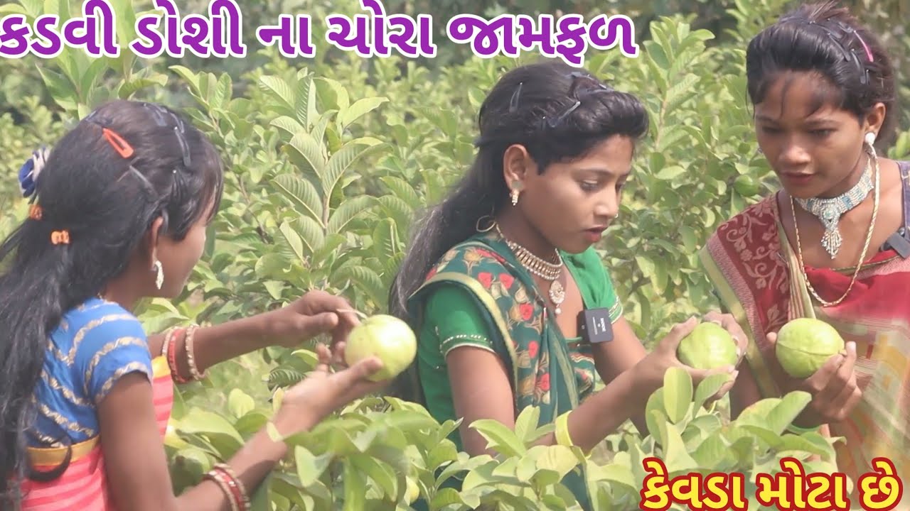 કડવી ડોશી ના ચોરા જામફળ | comedy Gam wale | gujarati comedy