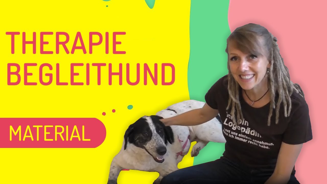 Teil 1 #Therapiebegleithund: Das Material