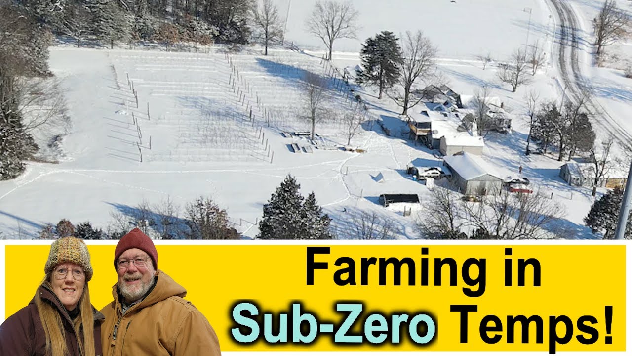Farming in Sub Zero Temps!