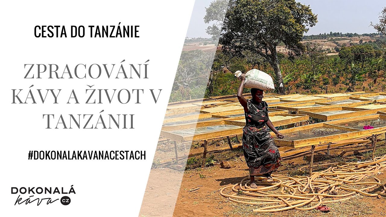 Tanzánie 2022 - zpracování kávy a život na plantáži