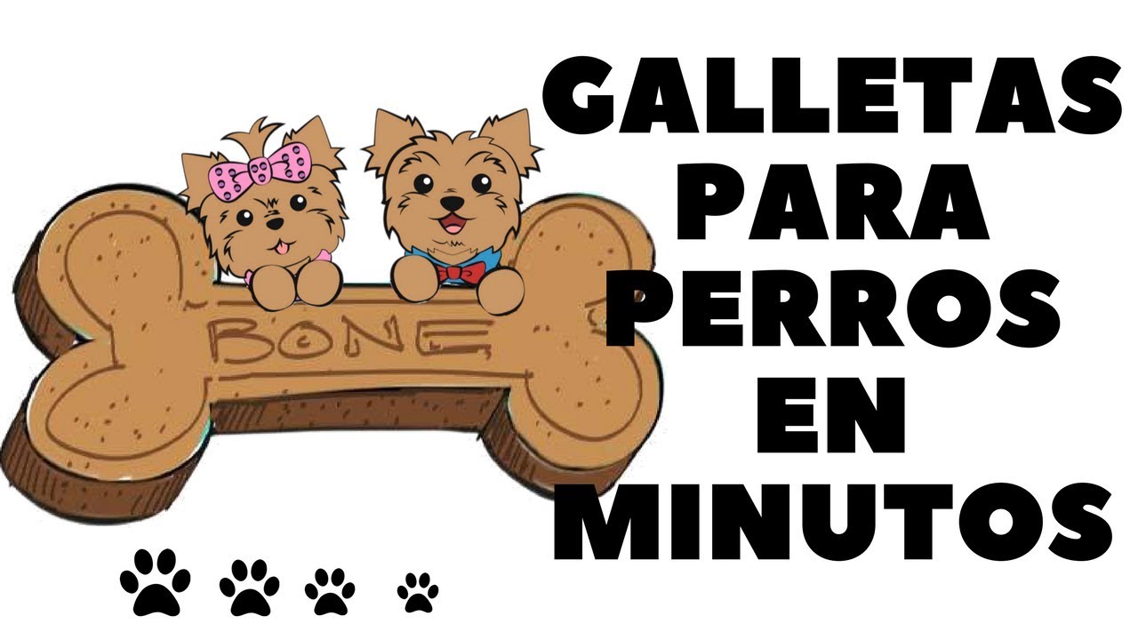 Como hacer galletas para perros en casa - Tips by Natalia Ospina