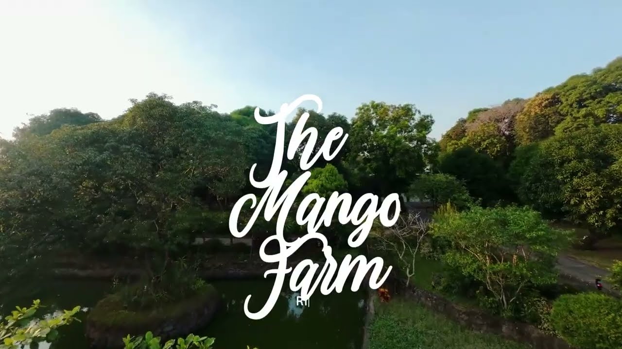 The Mango Farm One Take Video