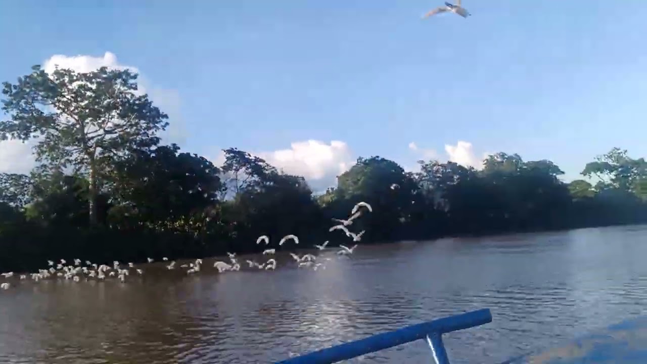 Garza Morena 1- Delta Amacuro
