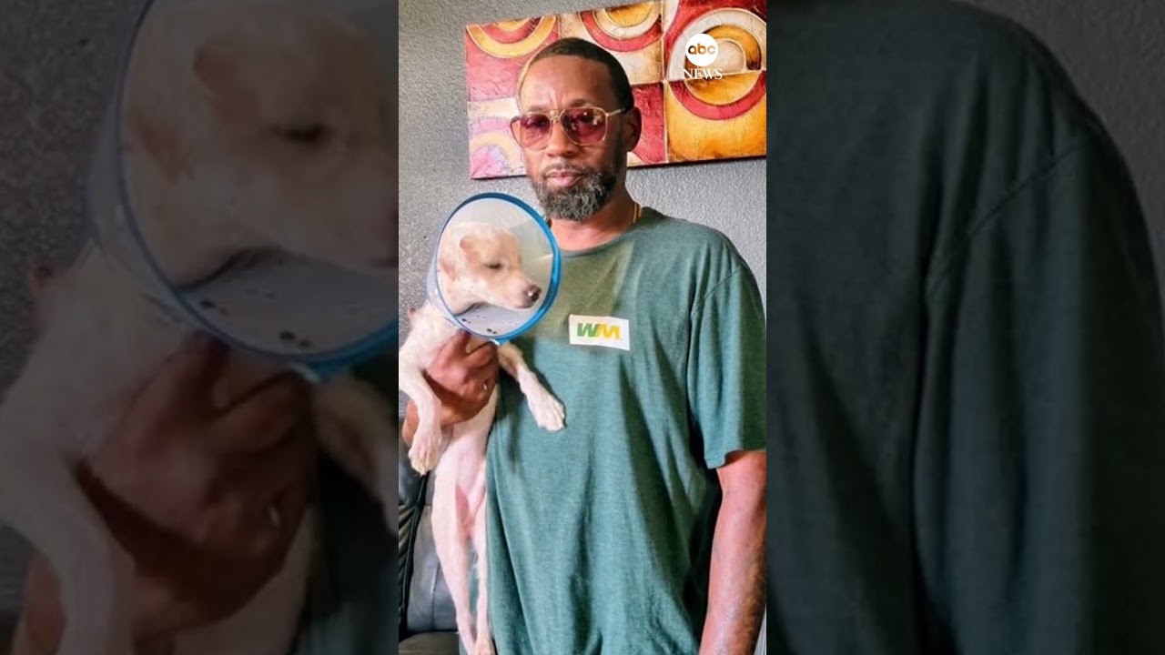 Dog rescued from garbage truck finds forever home with driver