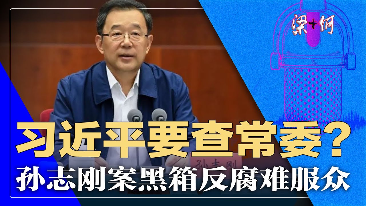 孙志刚案件是否查常委的前戏？习近平还查得动吗？黑箱反腐，难服众 ｜梁+何（153）