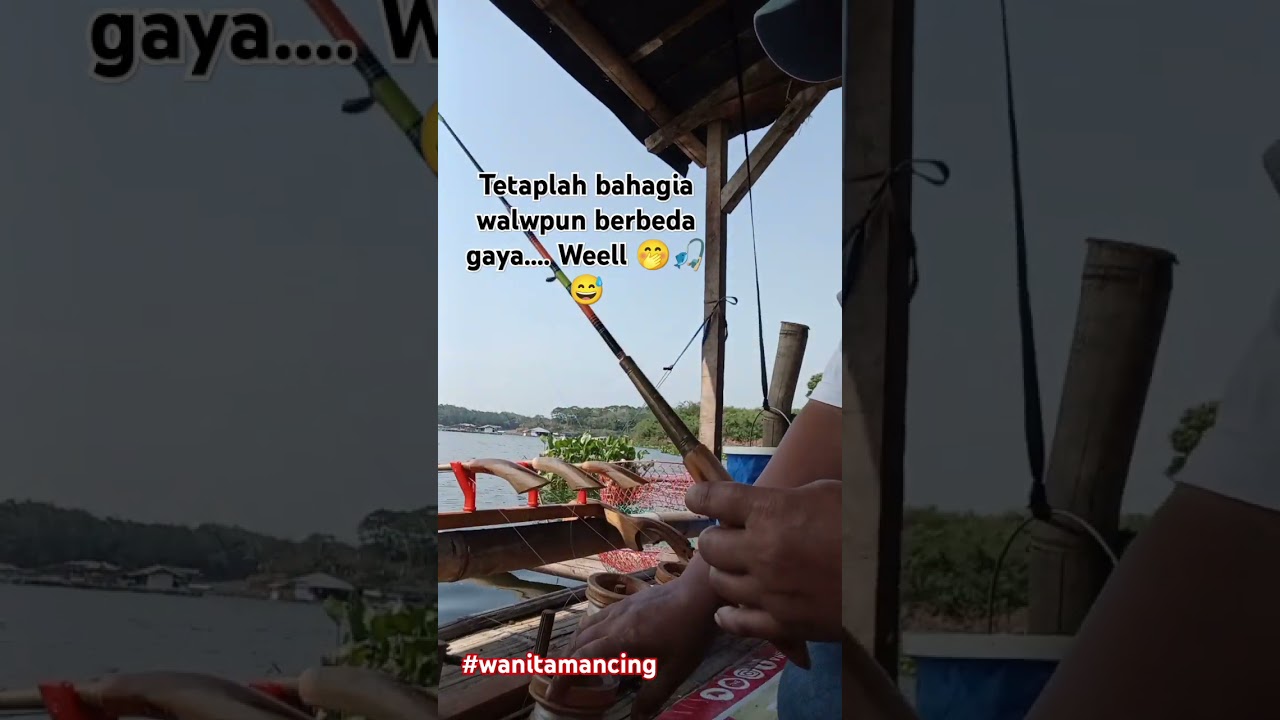 #wanitamancing