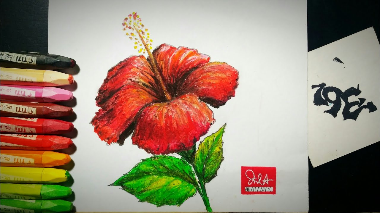 How to draw and color a China rose / Hibiscus with oil pastels,