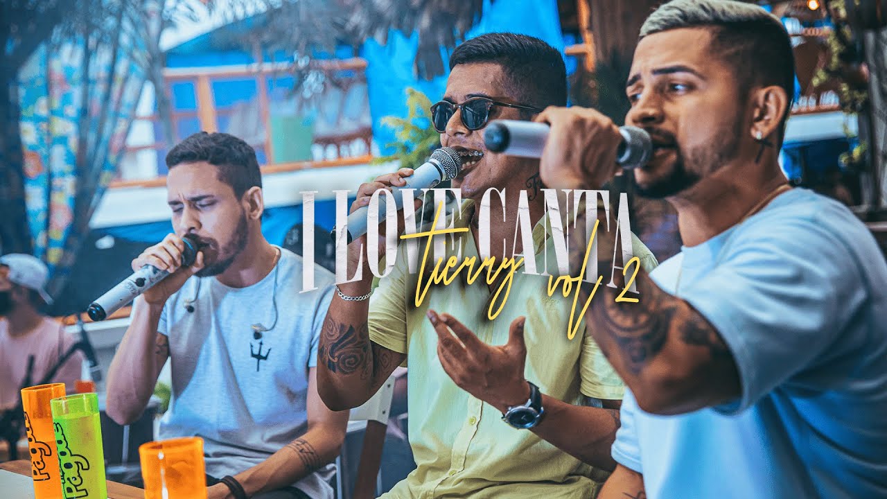I Love Canta Tierry - Vol. 2 - Coração de espelho | Acertou na mosca | Da seus Pulos Coração | ...