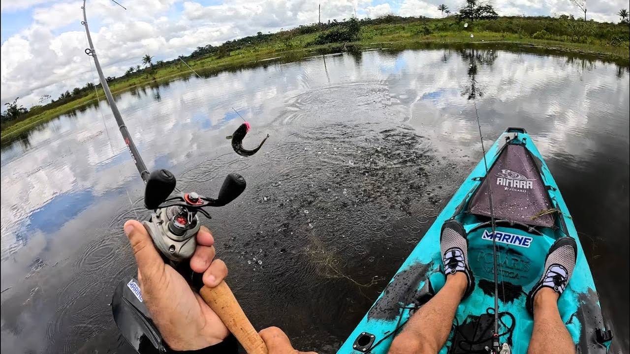 O PEIXE MAIS PESCADO DO BRASIL! CONHEÇA A ISCA FATAL