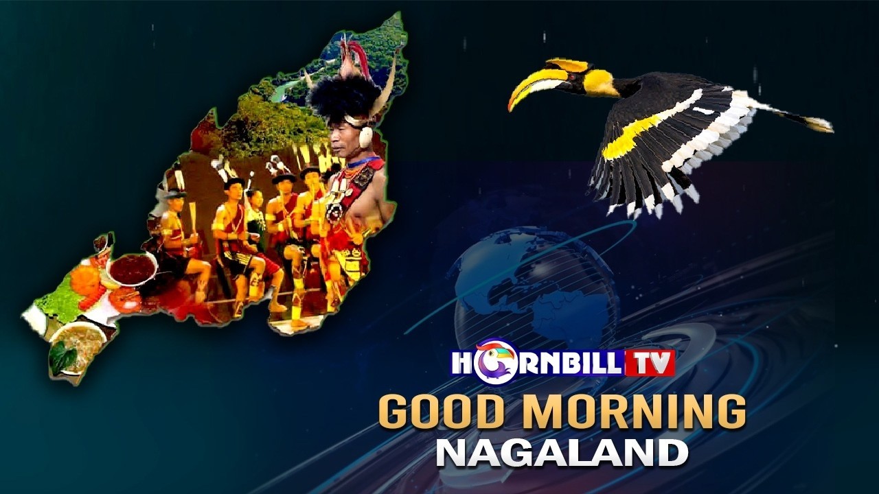 MORNING PULSE || 19th  FEBRUARY 2026 || HORNBILL TV