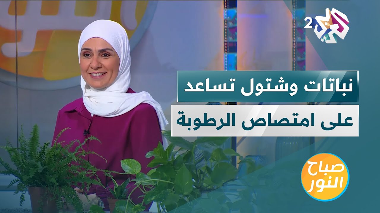 أبرز النباتات والشتول التي تساعد على امتصاص الرطوبة في المنازل