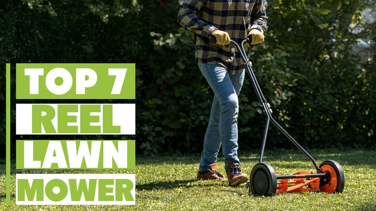 Best Reel Lawn Mowers of 2025: Top Picks for a Clean Cut