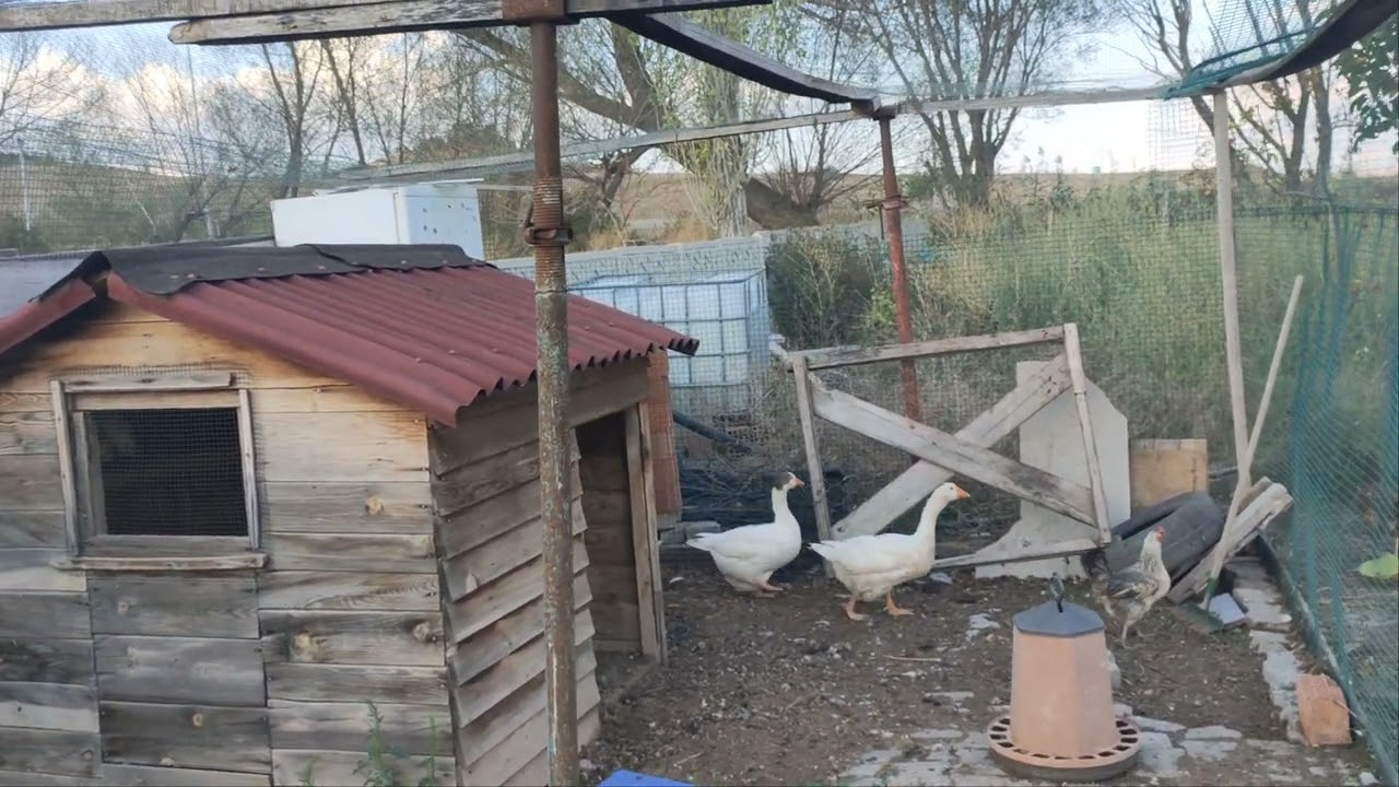 Bunlar Çorum Kazı değil dikkat ediniz.