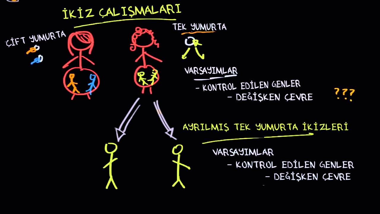 İkizler ve Evlat Edinme ile İlgili Çalışmalar (Psikoloji / Davranış)