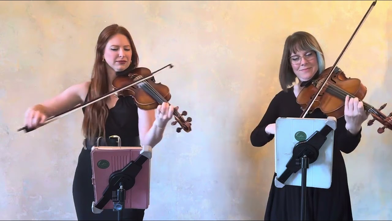Wildest Dreams by Taylor Swift: Violin and Viola Duo