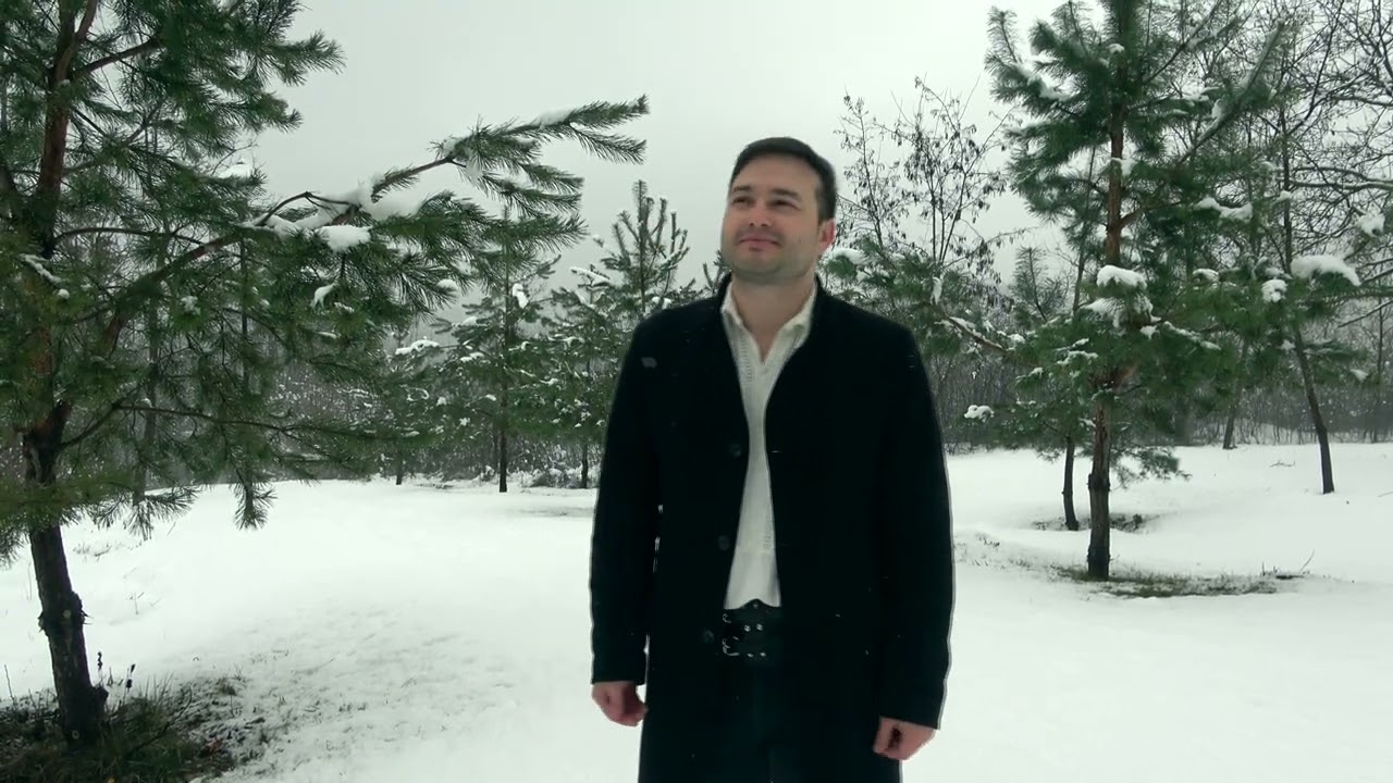 🔷 Vasile Hariton - N-am să uit măicuța (cover Ion Macovei)