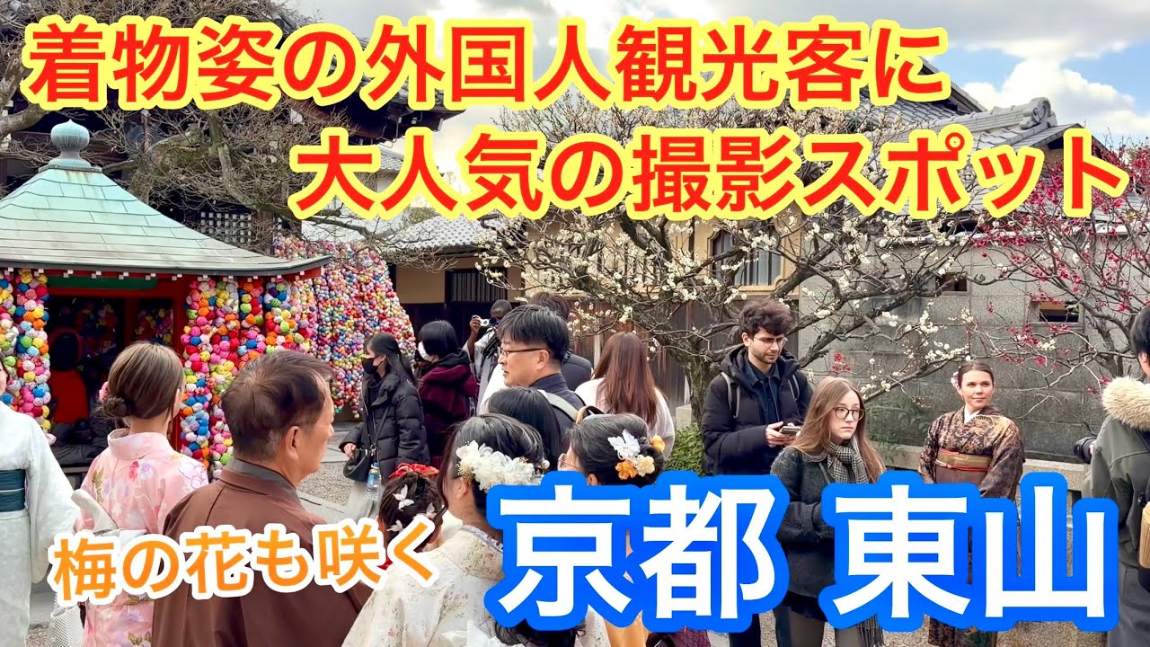 2026年2月18日 着物姿の外国人観光客に大人気の撮影スポット 梅の花も咲く京都東山は大盛況 Walking around Higashiyama, Kyoto