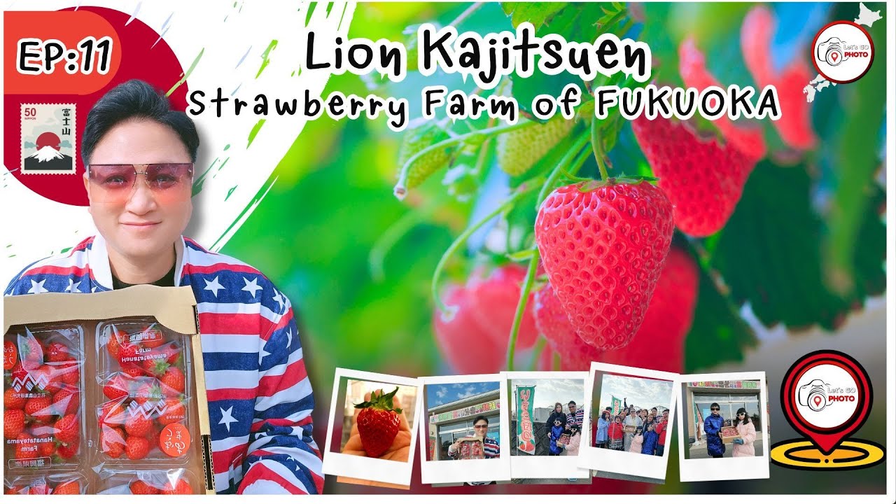 EP11 : Lion Kajitsuen , Discover the best Strawberry Farm of FUKUOKA JAPAN
