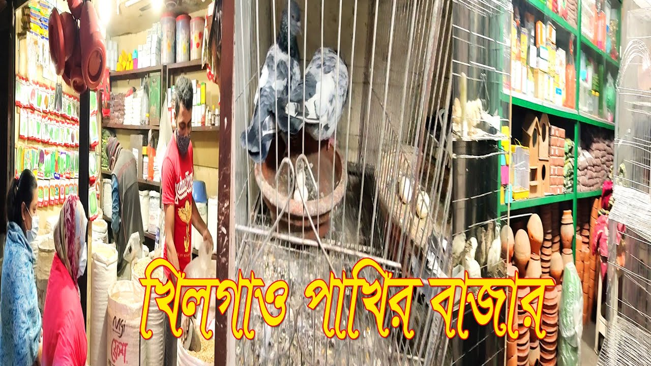 khilgaon bird’s market | খিলগাও পাখির বাজার
