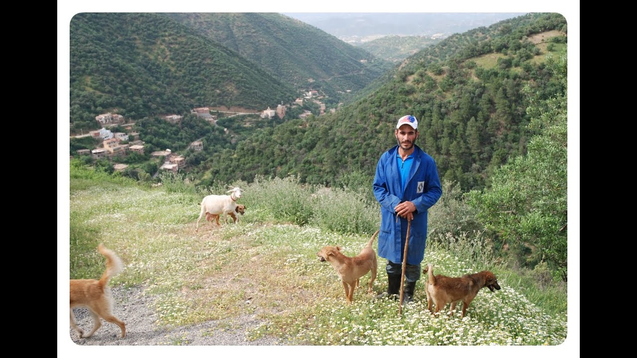 Reportage , Ath kouffi à boghni à tizi ouzou