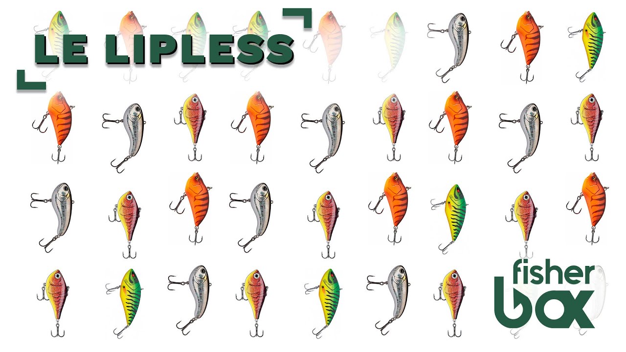 Wiki pêche - Tout SAVOIR sur le LIPLESS
