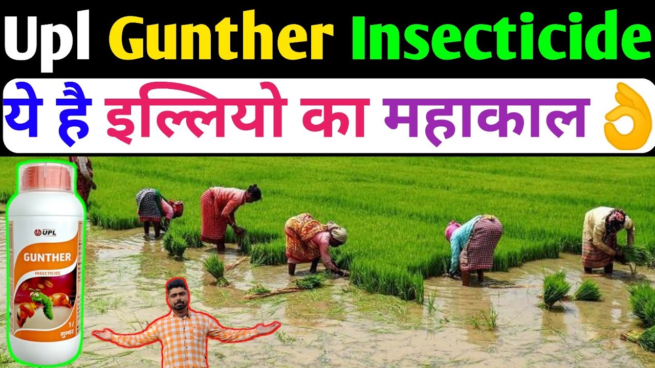 Gunther Insecticide । Upl Gunther Insecticide । Novaluron 5.25% + Emamectin benzoate 0.9 % SC