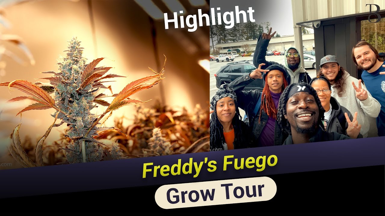 Freddy's Fuego Grow Tour Highlights