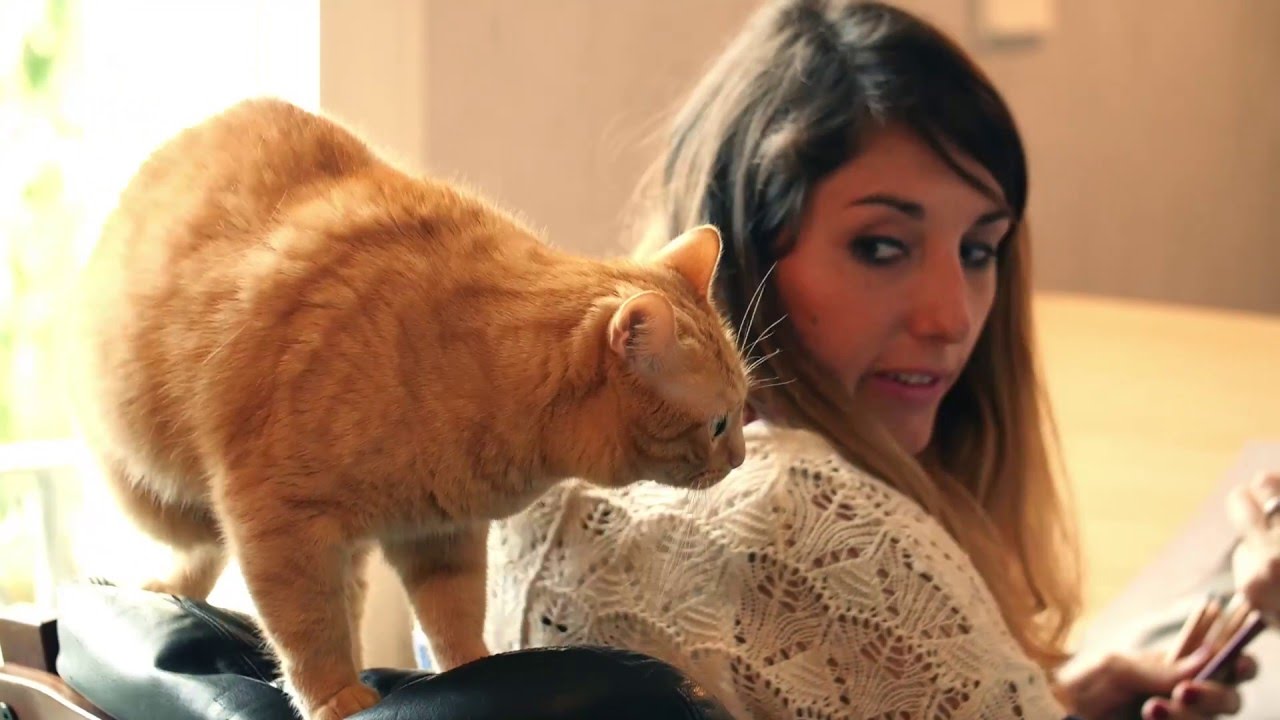Marion Tubiana - Artiste équine et animalière