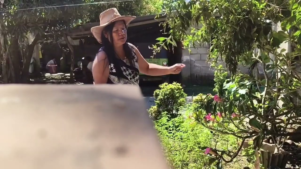 Maganda tlga d2 sa baryo, lht fresh ang gulay bsta may sariling tanim. 
