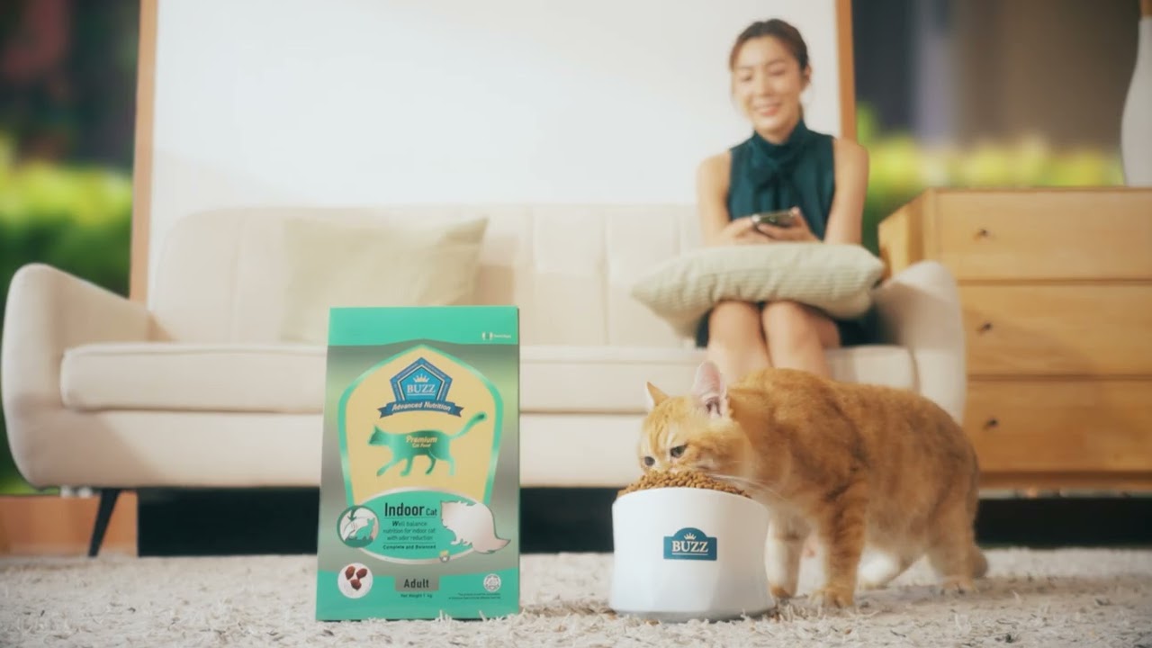 Buzz Advanced Nutrition ดูแลตรงจุด รสชาติตรงใจ แมวไหนๆ ก็ชอบ