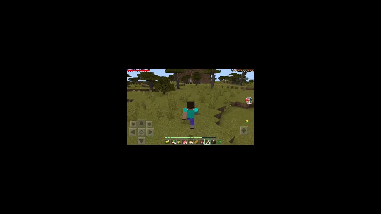 Minecraft vlog12 is live