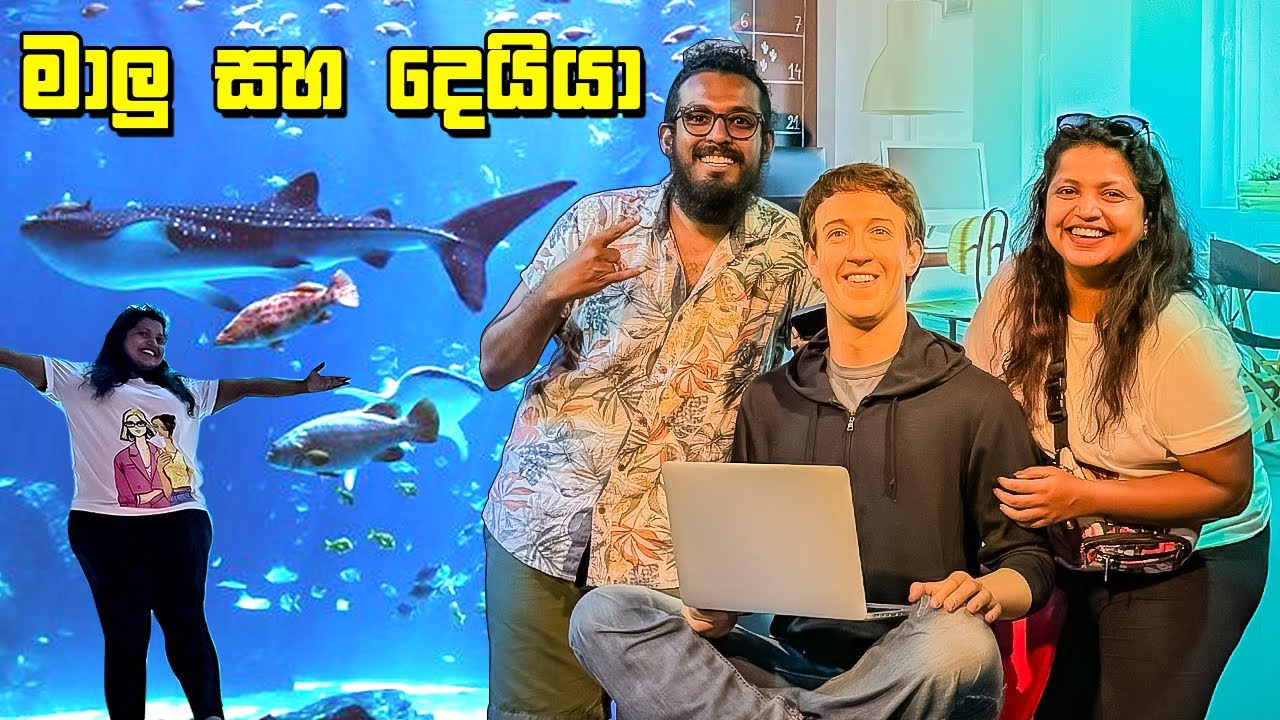 මාළු බලලා දෙයියෝ හම්බුනා - VLOG 338
