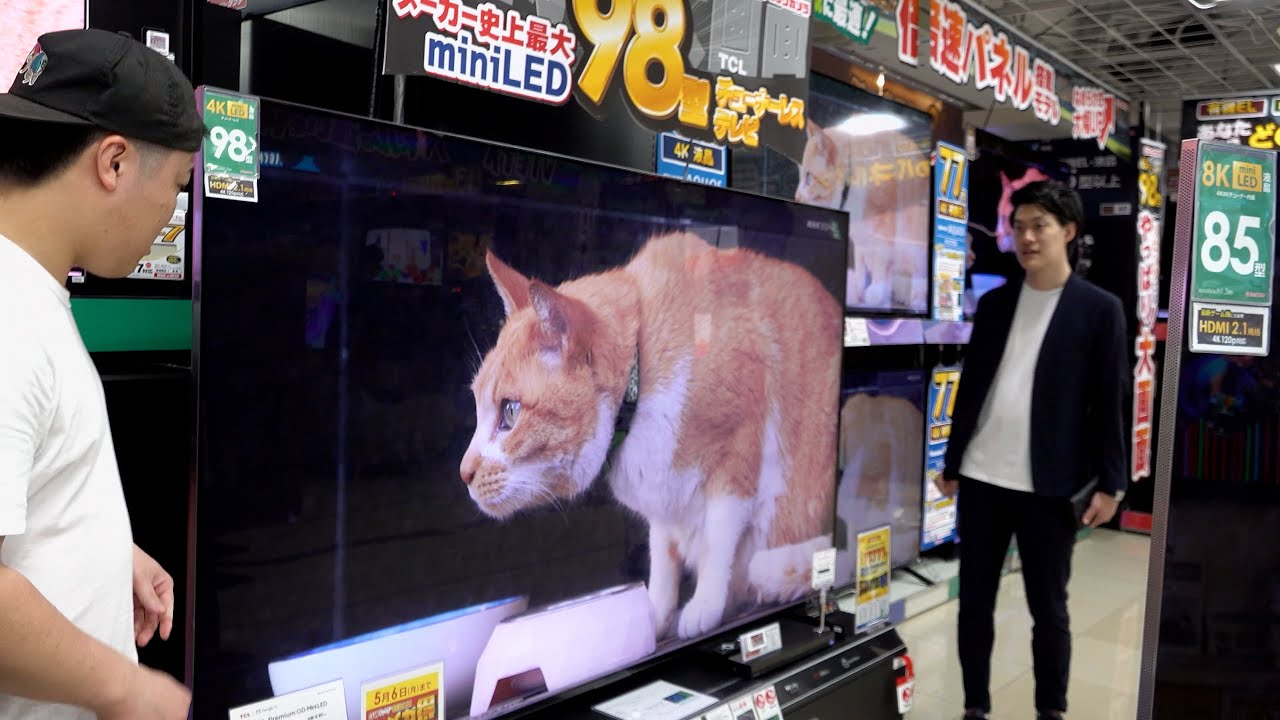 後輩の上京祝いに大型テレビ買ってあげた【シモリュウに100万円使う夜#1】