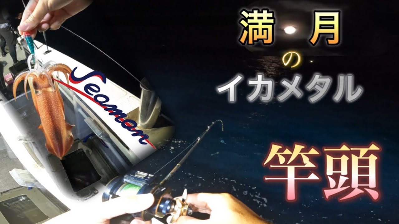 【網野】シーマンで深夜便イカメタル