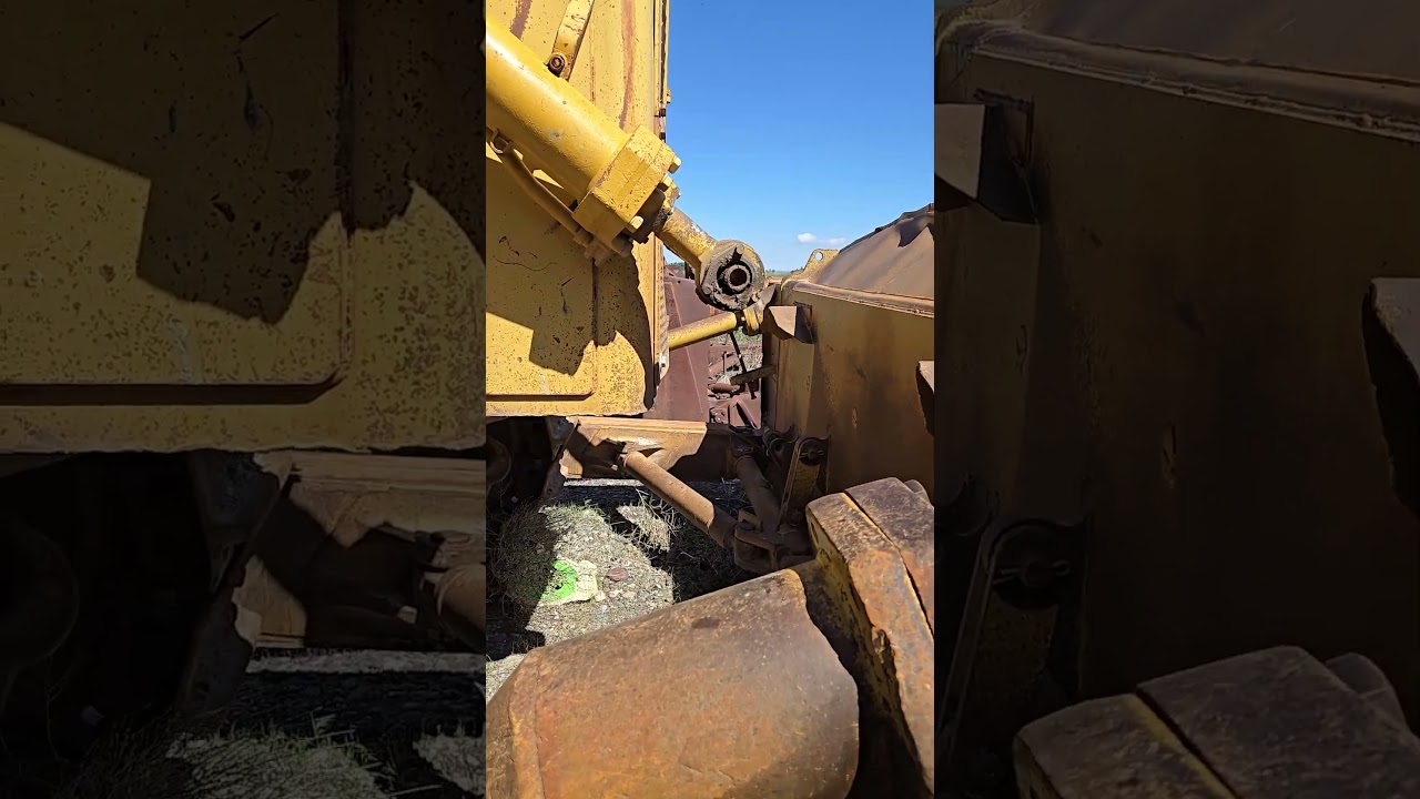 Raccoons! #jpaydirt #caterpillarinc #d9h