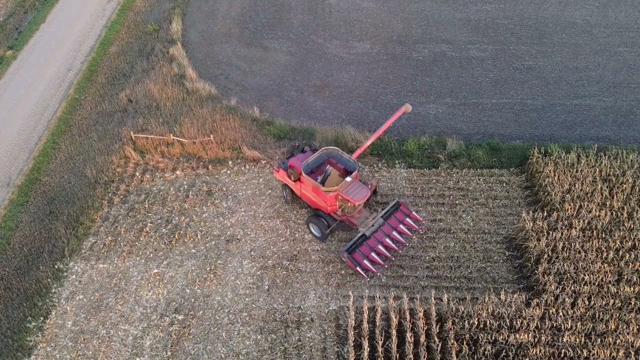 Silvey Corn Harvest   Made with Clipchamp